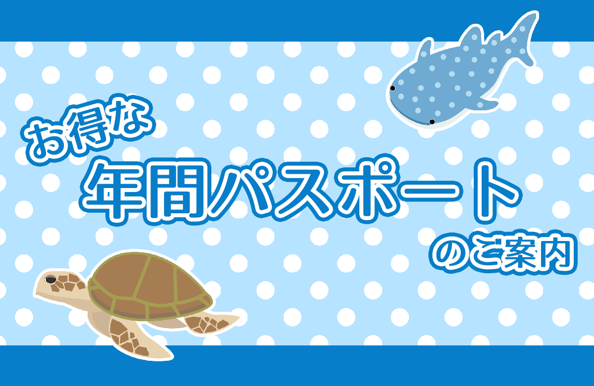 お得な年間パスポートのご案内