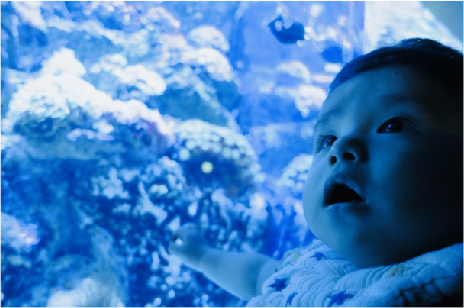 家族でたのしむコース