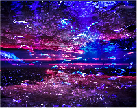 ナイトアクアリウム